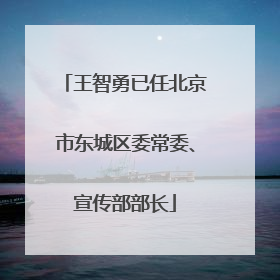王智勇已任北京市东城区委常委、宣传部部长