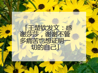 王楚钦发文：感谢莎莎，谢谢不管多痛苦也想证明一切的自己