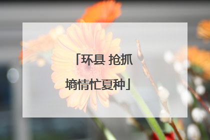 环县 抢抓墒情忙夏种