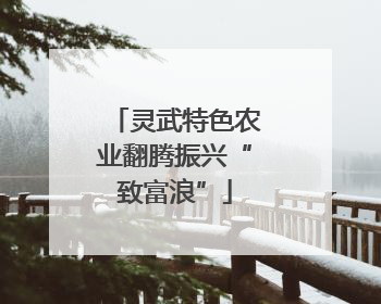 灵武特色农业翻腾振兴“致富浪”
