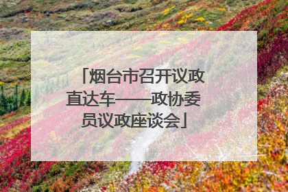 烟台市召开议政直达车——政协委员议政座谈会