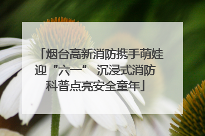 烟台高新消防携手萌娃迎“六一” 沉浸式消防科普点亮安全童年