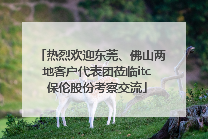 热烈欢迎东莞、佛山两地客户代表团莅临itc保伦股份考察交流
