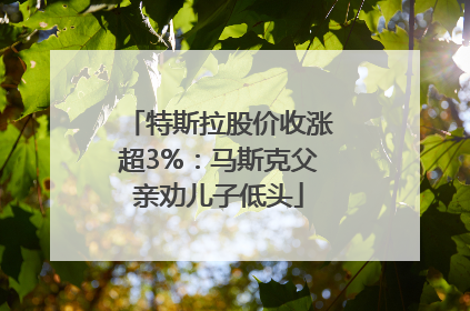 特斯拉股价收涨超3%：马斯克父亲劝儿子低头