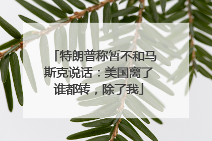 特朗普称暂不和马斯克说话：美国离了谁都转，除了我