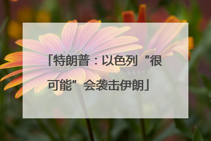 特朗普：以色列“很可能”会袭击伊朗
