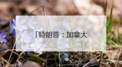 特朗普：加拿大可免费用“金穹”，但有个条件