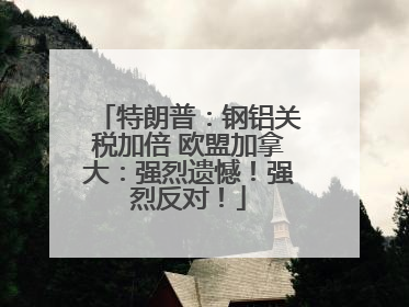 特朗普：钢铝关税加倍 欧盟加拿大：强烈遗憾！强烈反对！