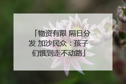物资有限 隔日分发 加沙民众：孩子们饿到走不动路