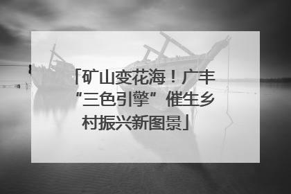 矿山变花海！广丰“三色引擎”催生乡村振兴新图景
