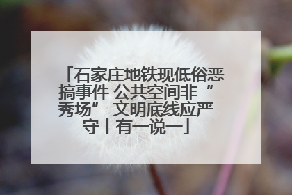 石家庄地铁现低俗恶搞事件 公共空间非“秀场” 文明底线应严守丨有一说一