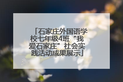 石家庄外国语学校七年级4班“我爱石家庄”社会实践活动成果展示