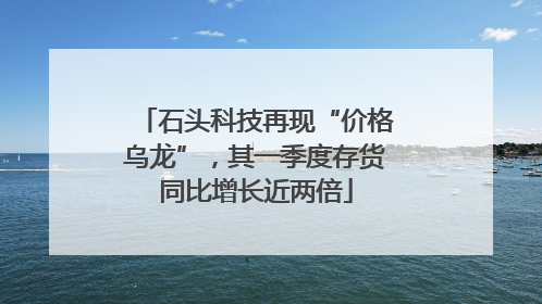石头科技再现“价格乌龙”，其一季度存货同比增长近两倍