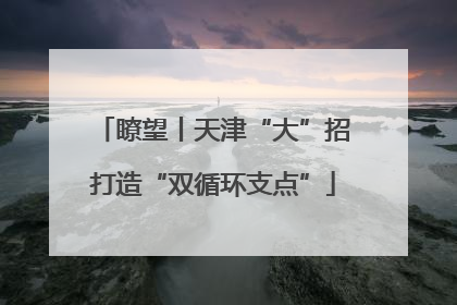瞭望丨天津“大”招打造“双循环支点”
