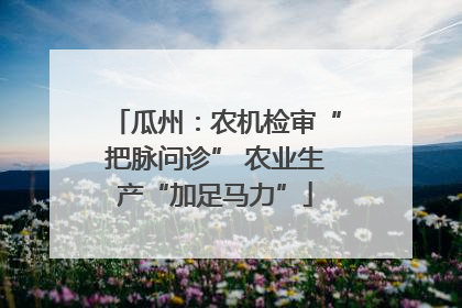 瓜州：农机检审“把脉问诊” 农业生产“加足马力”