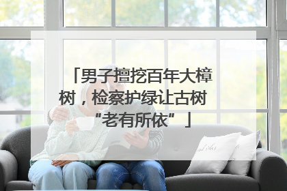 男子擅挖百年大樟树，检察护绿让古树“老有所依”