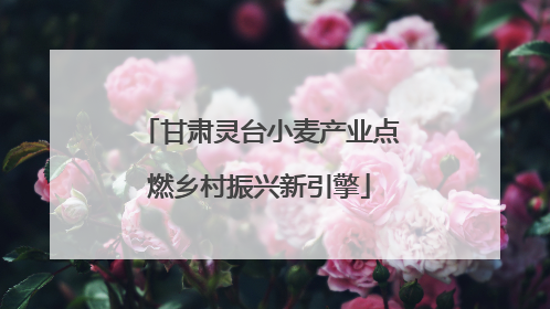 甘肃灵台小麦产业点燃乡村振兴新引擎