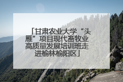 甘肃农业大学“头雁”项目现代畜牧业高质量发展培训班走进榆林榆阳区