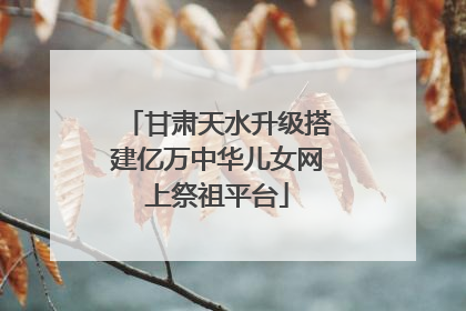 甘肃天水升级搭建亿万中华儿女网上祭祖平台
