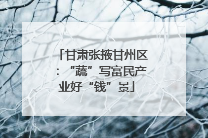 甘肃张掖甘州区：“蔬”写富民产业好“钱”景