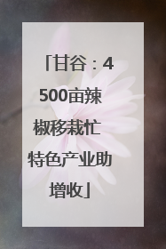甘谷：4500亩辣椒移栽忙 特色产业助增收