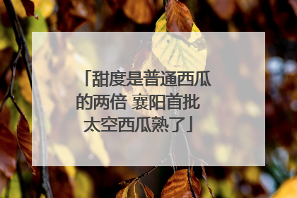 甜度是普通西瓜的两倍 襄阳首批太空西瓜熟了