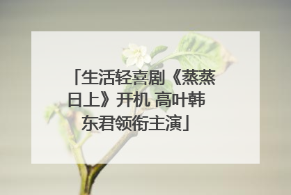 生活轻喜剧《蒸蒸日上》开机 高叶韩东君领衔主演