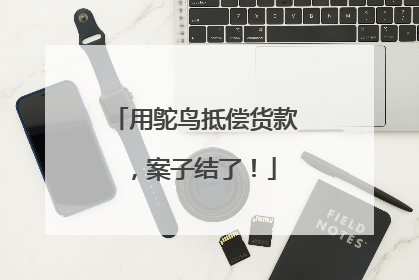 用鸵鸟抵偿货款，案子结了！