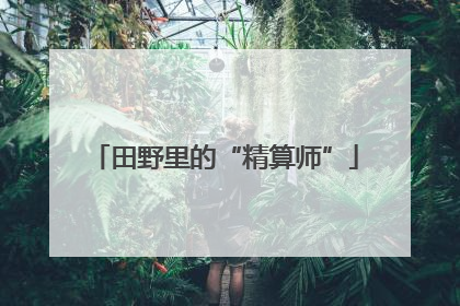田野里的“精算师”