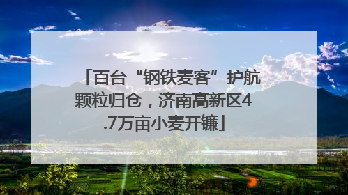百台“钢铁麦客”护航颗粒归仓，济南高新区4.7万亩小麦开镰