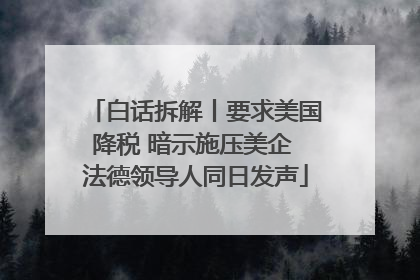 白话拆解丨要求美国降税 暗示施压美企 法德领导人同日发声
