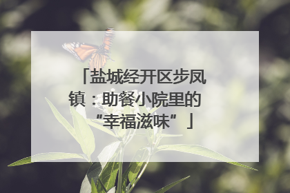 盐城经开区步凤镇：助餐小院里的“幸福滋味”