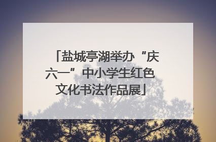 盐城亭湖举办“庆六一”中小学生红色文化书法作品展
