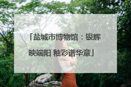 盐城市博物馆：银辉映端阳 釉彩谱华章