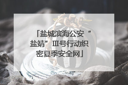 盐城滨海公安“盐靖”Ⅲ号行动织密夏季安全网