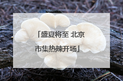 盛夏将至 北京市集热辣开场