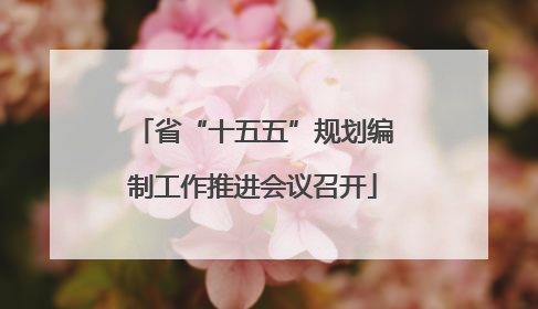 省“十五五”规划编制工作推进会议召开