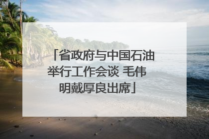 省政府与中国石油举行工作会谈 毛伟明戴厚良出席