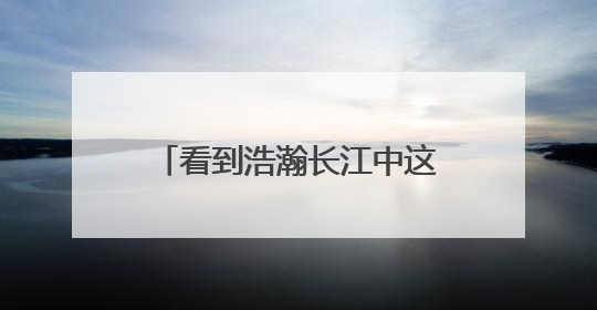 看到浩瀚长江中这么多人组成的渡江长龙，非常震撼