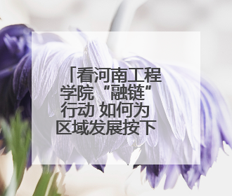 看河南工程学院“融链”行动 如何为区域发展按下“加速键”
