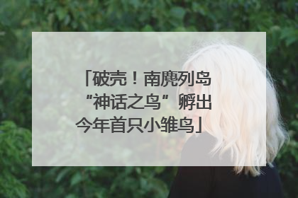 破壳！南麂列岛“神话之鸟”孵出今年首只小雏鸟