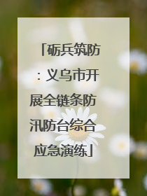 砺兵筑防：义乌市开展全链条防汛防台综合应急演练
