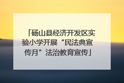 砀山县经济开发区实验小学开展“民法典宣传月”法治教育宣传