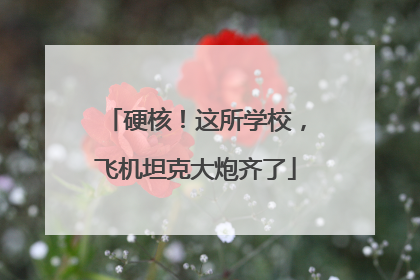 硬核！这所学校，飞机坦克大炮齐了