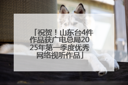 祝贺！山东台4件作品获广电总局2025年第一季度优秀网络视听作品