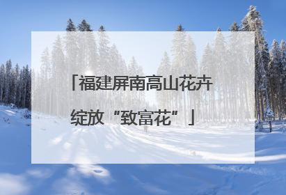 福建屏南高山花卉绽放“致富花”