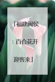 福建闽侯：百合花开迎客来