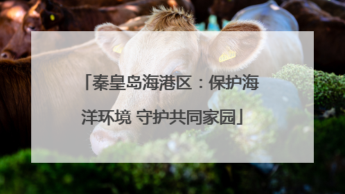 秦皇岛海港区：保护海洋环境 守护共同家园