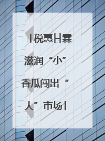 税惠甘霖滋润“小”香瓜闯出“大”市场