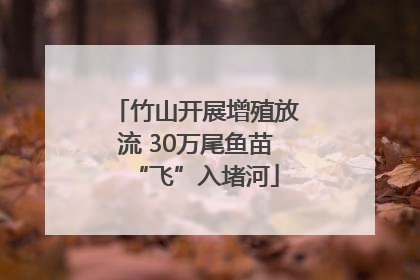 竹山开展增殖放流 30万尾鱼苗“飞”入堵河